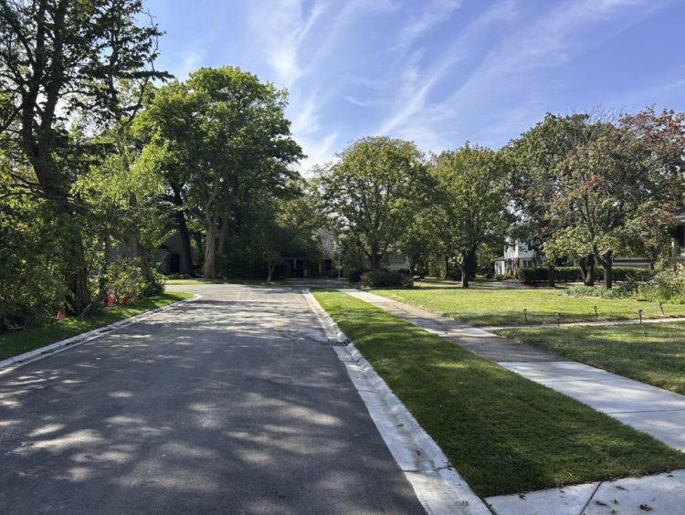 View of newly repaved Brumley Drive